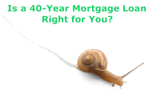 Mortgage Loans