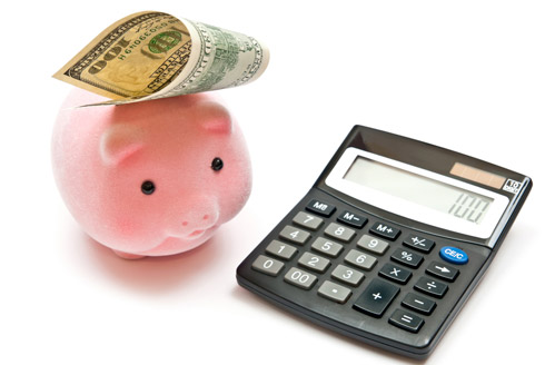 Budget Piggy Bank