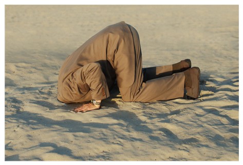 Credit Card Elimination